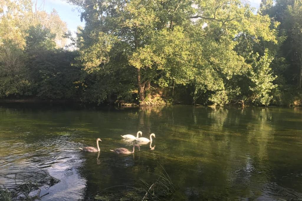 Appartamento La Pierre Levée Montigny-sur-Loing Esterno foto