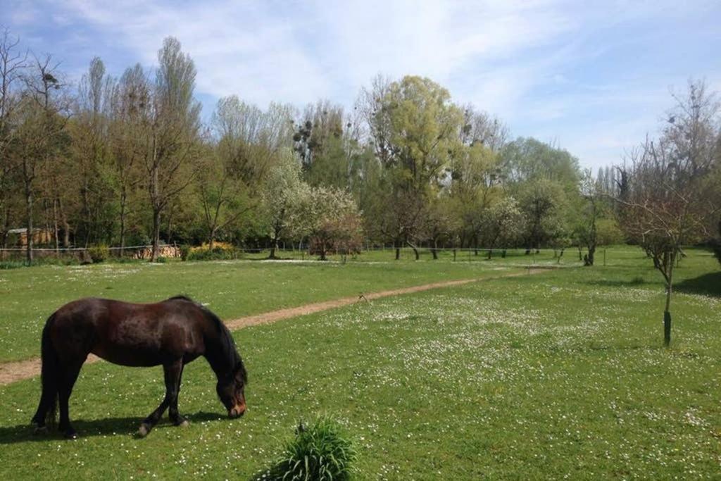 Appartamento La Pierre Levée Montigny-sur-Loing Esterno foto